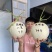 绿脆蜜玉姑甜瓜种子冰糖玉姑甜瓜甜度19口感好