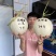 绿脆蜜玉姑甜瓜种子冰糖玉姑甜瓜甜度19口感好