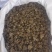 精品水洗《中药猫爪草》自产自销基地直发保质保量对接全国
