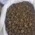 精品水洗《中药猫爪草》自产自销基地直发保质保量对接全国