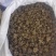 精品水洗《中药猫爪草》自产自销基地直发保质保量对接全国
