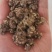 精品水洗《中药猫爪草》自产自销基地直发保质保量对接全国