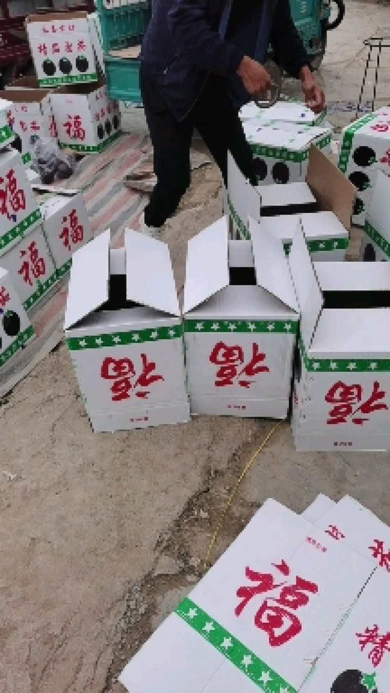 【热卖中】河南紫光圆茄，个头均匀，色泽鲜亮，价格美丽