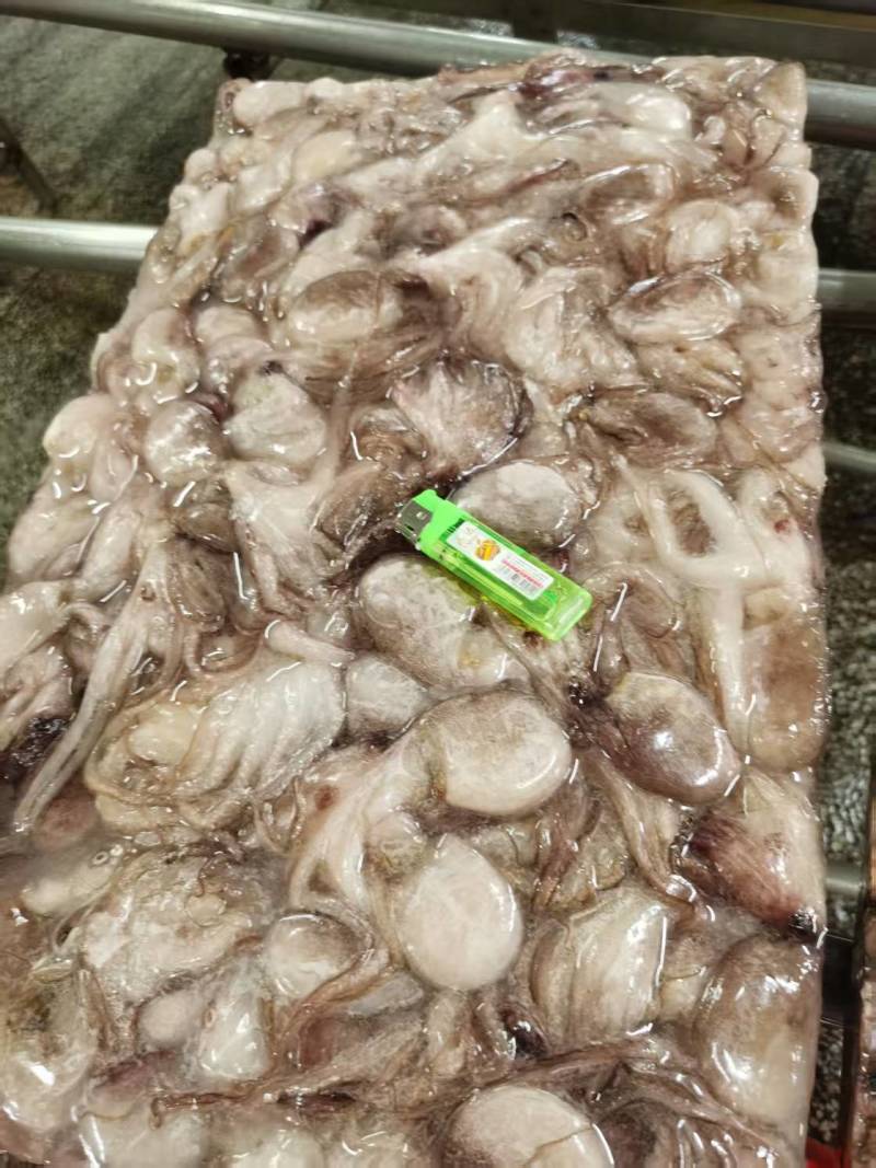 次品小八爪适用快餐店