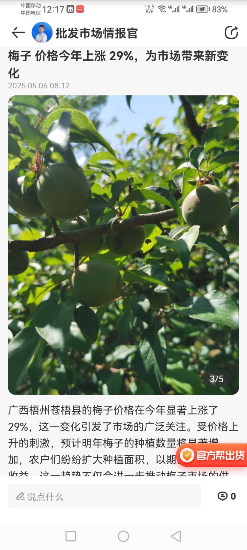 预售新鲜梅子（农历五月中旬上市）。酸木瓜7月底上市