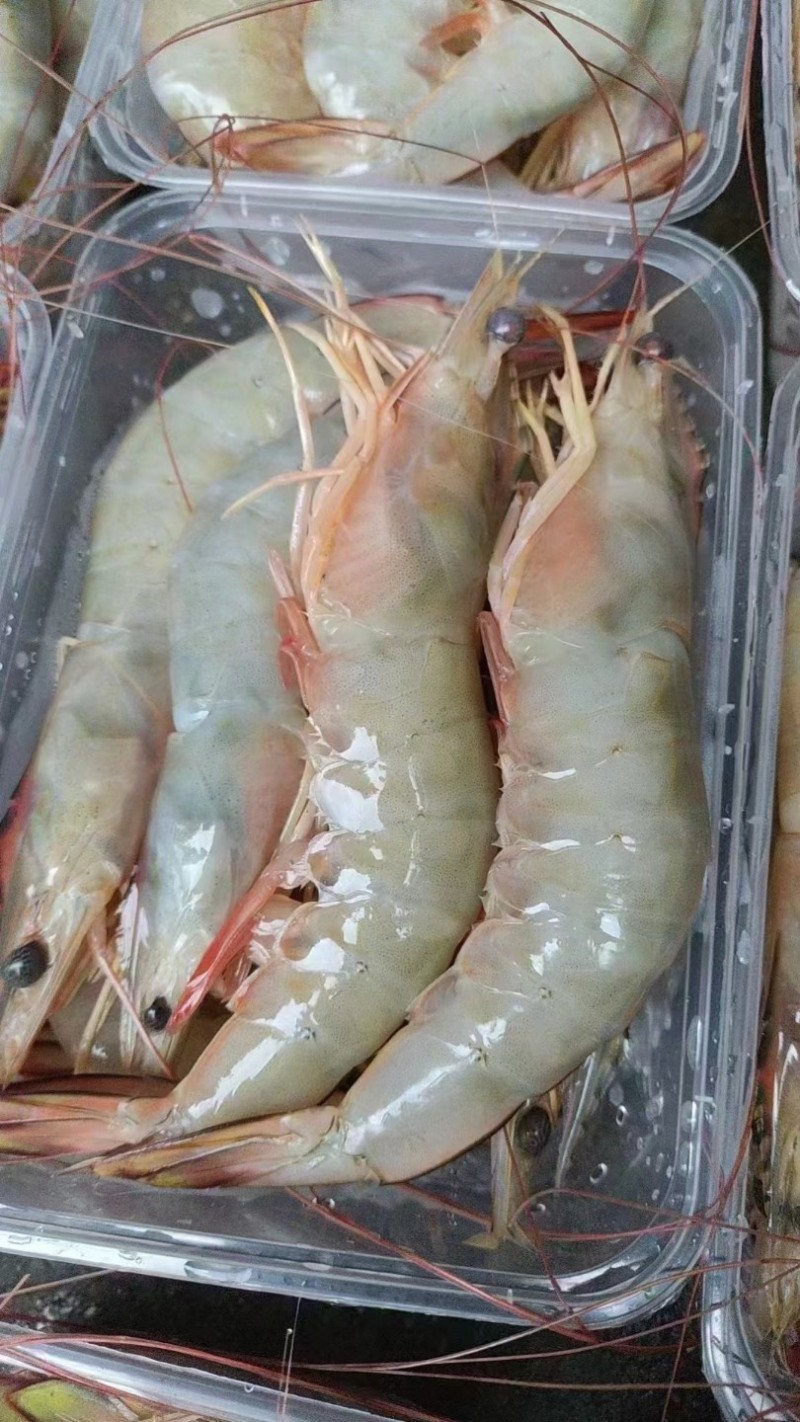 海虾