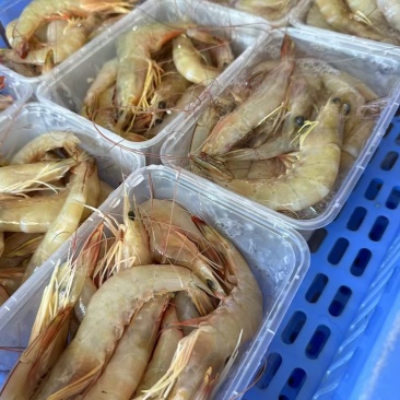 海虾