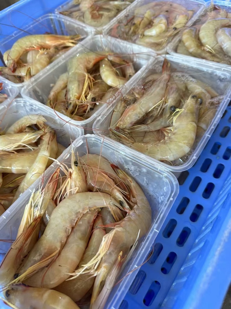 海虾