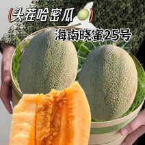 【梦中情瓜-民勤晓蜜25号】甜过初恋的哈密瓜诚信经营