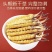 精品冬虫夏草，货源充足，量大从优，质量保证，欢迎咨询。