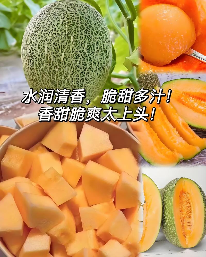 【梦中情瓜-民勤晓蜜25号】甜过初恋的哈密瓜诚信经营