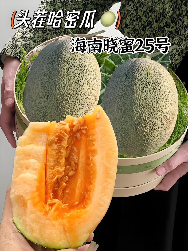 【梦中情瓜-民勤晓蜜25号】甜过初恋的哈密瓜诚信经营