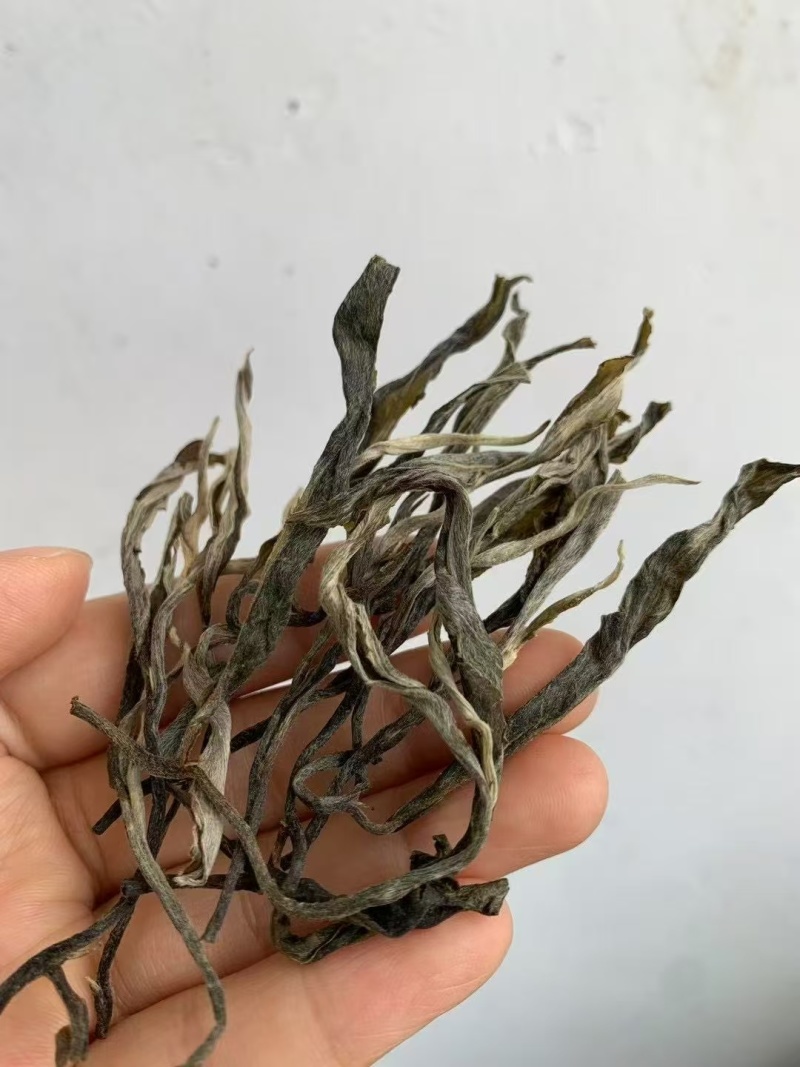 正品真品原产地茶叶基地云南古树茶普洱茶冰岛糯香昔归老班章