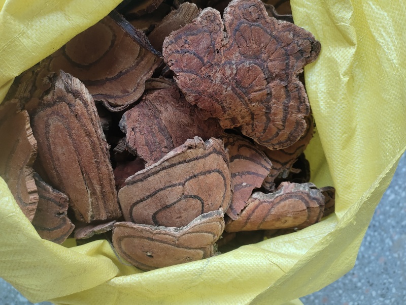 野生鸡血藤片8元一斤干货