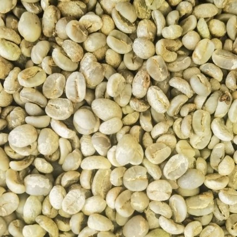 云南咖啡豆种植基地原产地量大生豆熟豆卡蒂姆铁皮卡阿拉比豆