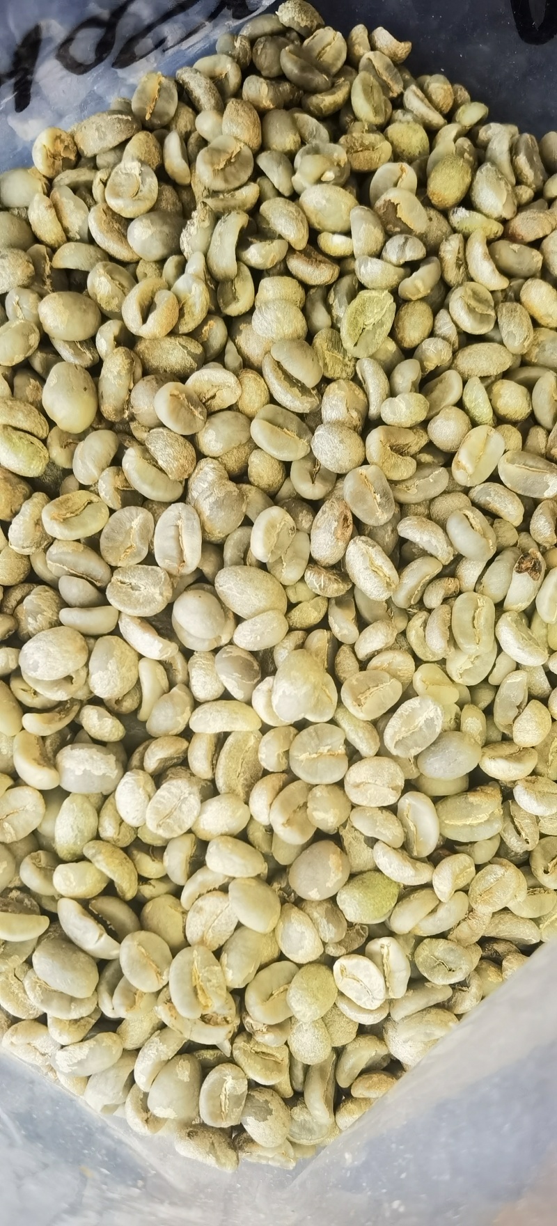 云南咖啡豆种植基地原产地量大生豆熟豆卡蒂姆铁皮卡阿拉比豆