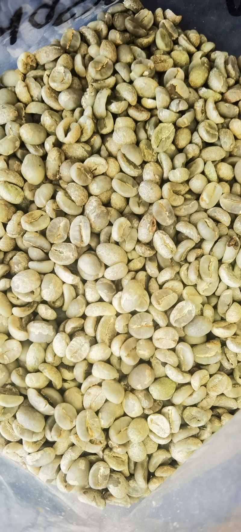 云南咖啡豆种植基地原产地量大生豆熟豆卡蒂姆铁皮卡阿拉比豆