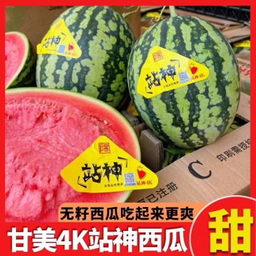 《精品西瓜》甘美4K/无籽西瓜/产地货源/全国供应电商