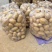 四川湖北新鲜土豆希森V7实验一皮老质量好电商市场