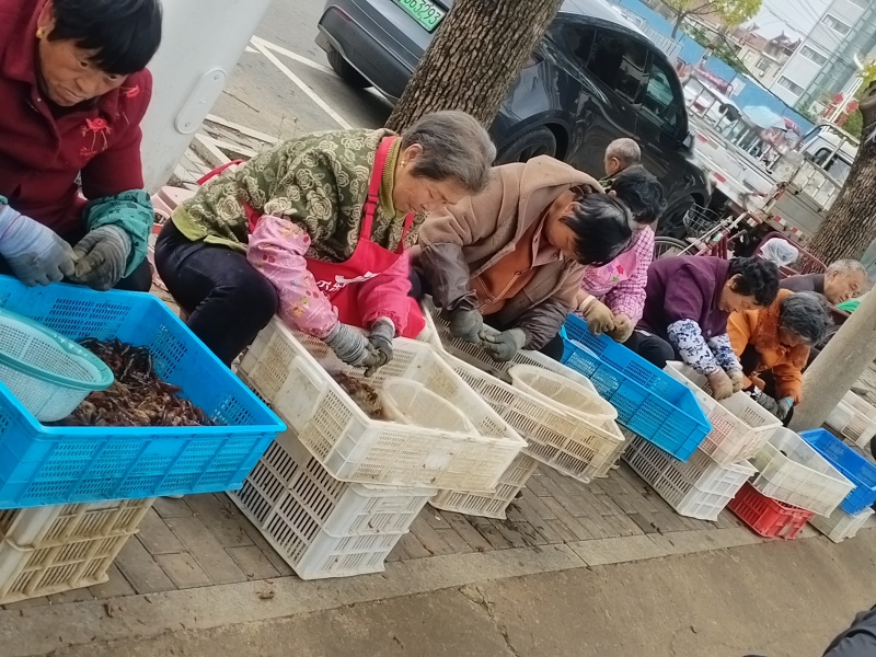 纯手工剥的鲜活小龙虾虾仁，***无杂质，需要的联系我。