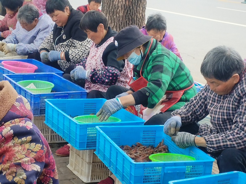 纯手工剥的鲜活小龙虾虾仁，***无杂质，需要的联系我。