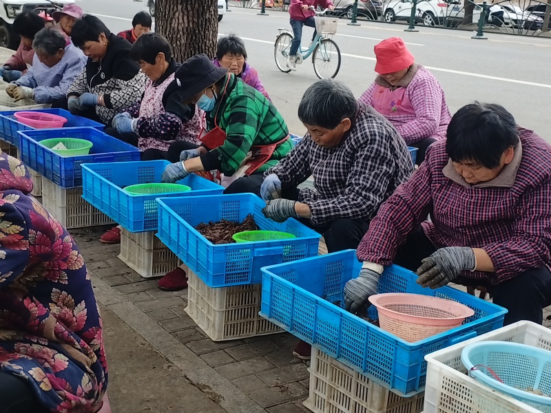 纯手工剥的鲜活小龙虾虾仁，***无杂质，需要的联系我。