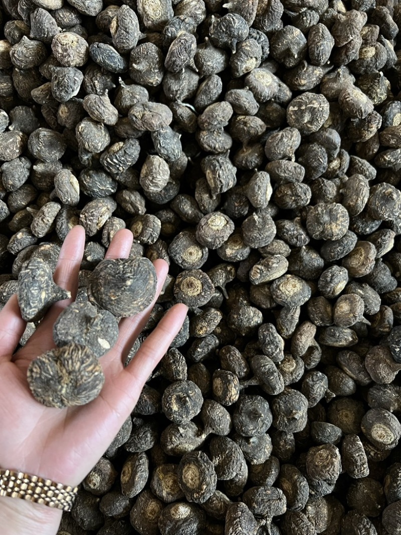 玛咖压果大货供应