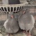 贵州肉鸽养殖基地