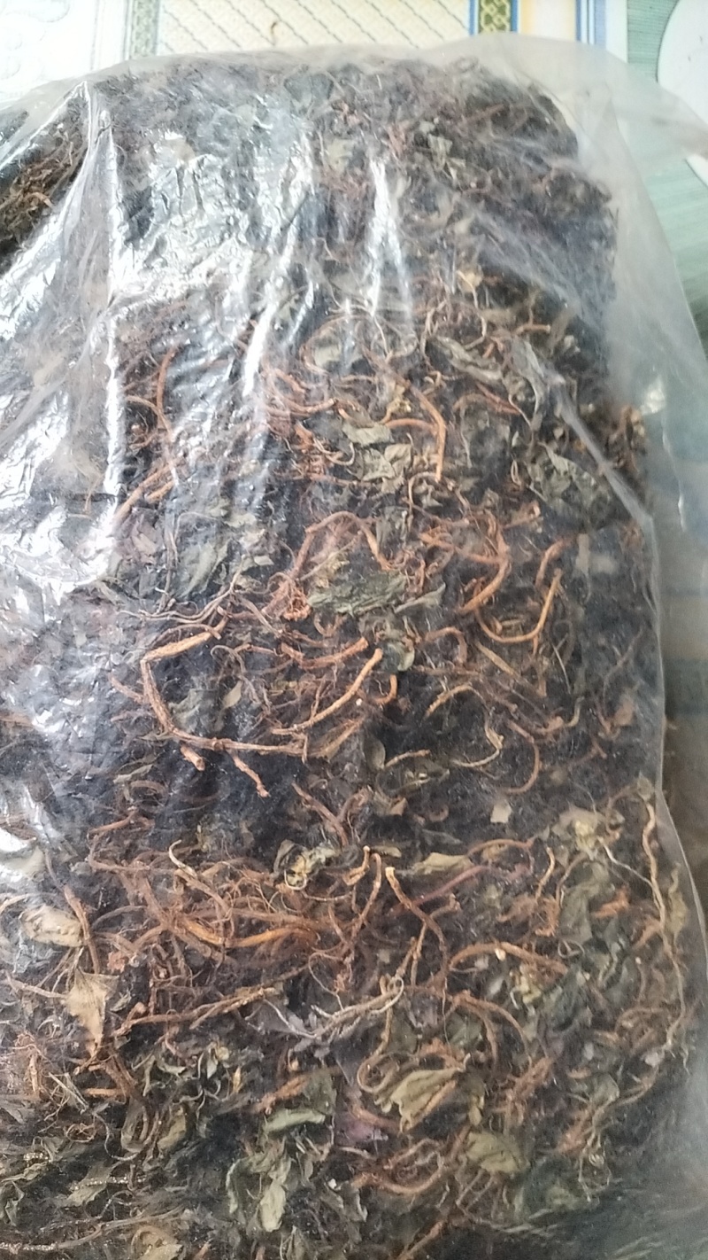 风柜斗草