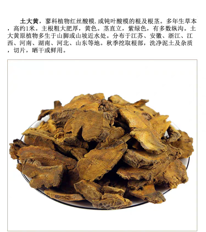 包邮）土大黄中药材正宗羊蹄根洋铁叶牛西西非野生新货