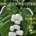 蚕茧蚕衣天然干货无杂质2斤起包邮量大优惠
