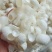 蚕茧蚕衣天然干货无杂质2斤起包邮量大优惠