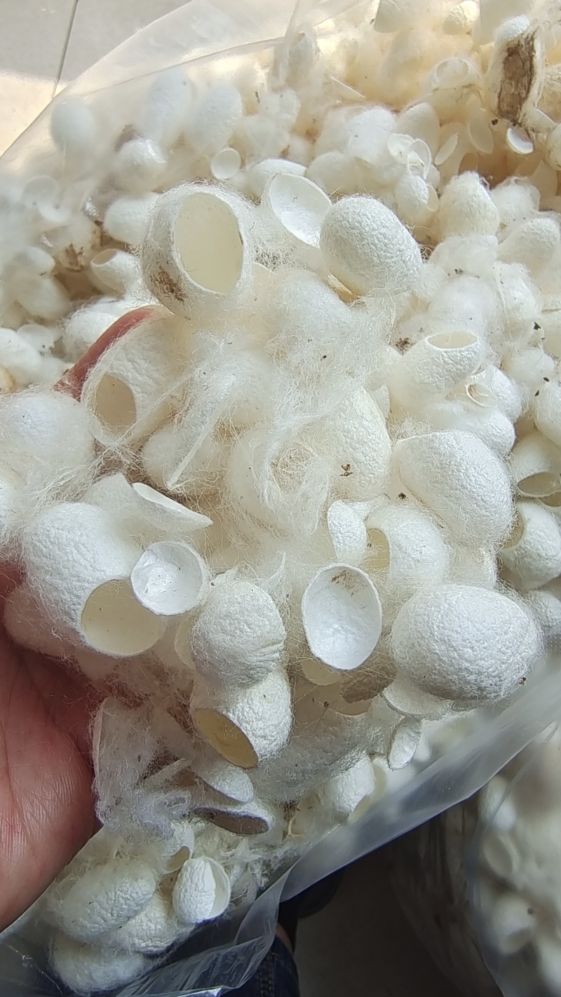 蚕茧蚕衣天然干货无杂质2斤起包邮量大优惠