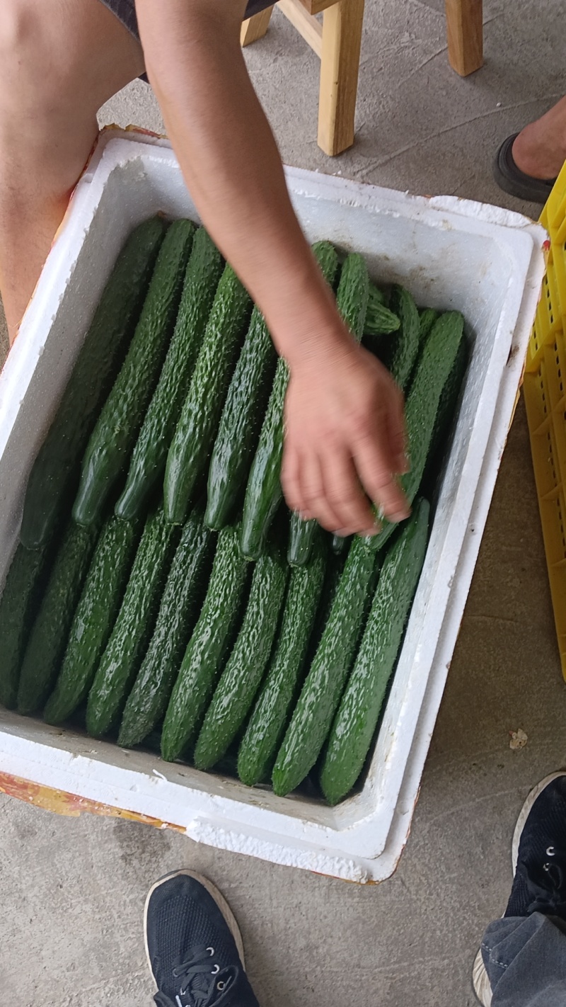 各类精品蔬菜下个月上市