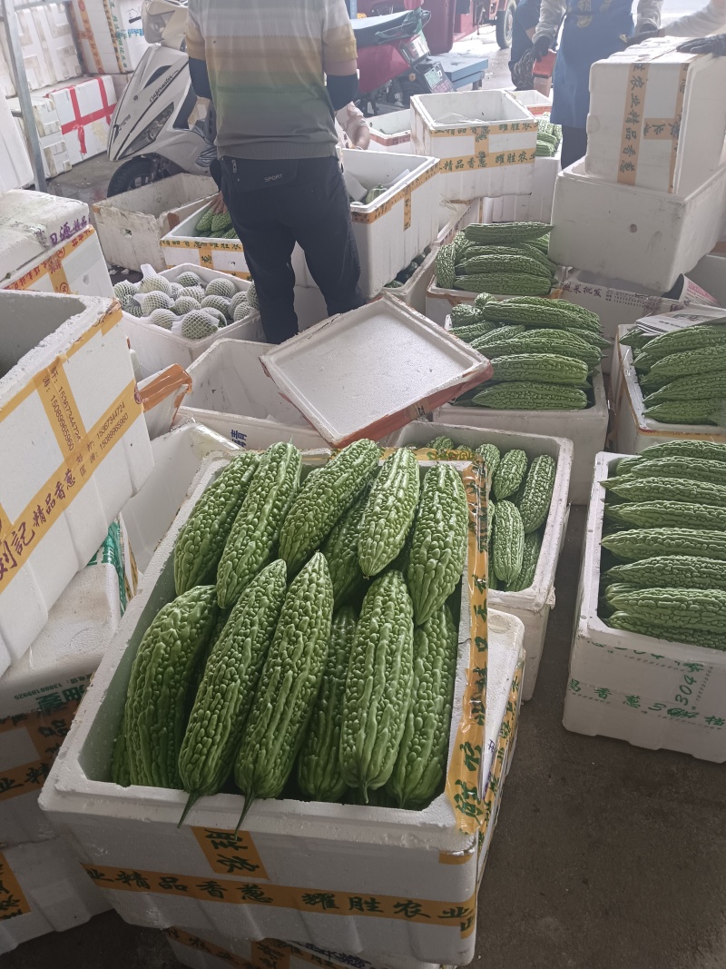 各类精品蔬菜下个月上市