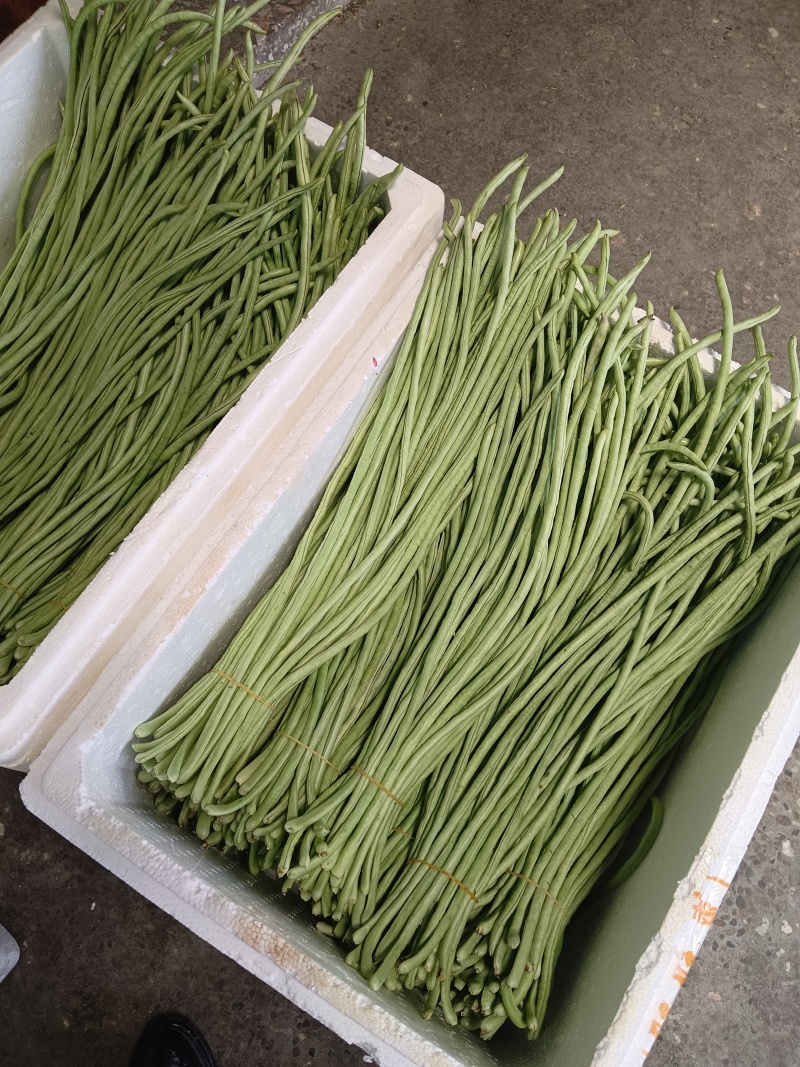 各类精品蔬菜下个月上市