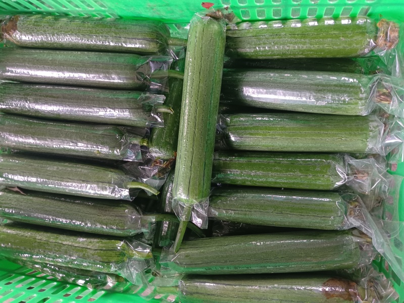 各类精品蔬菜下个月上市