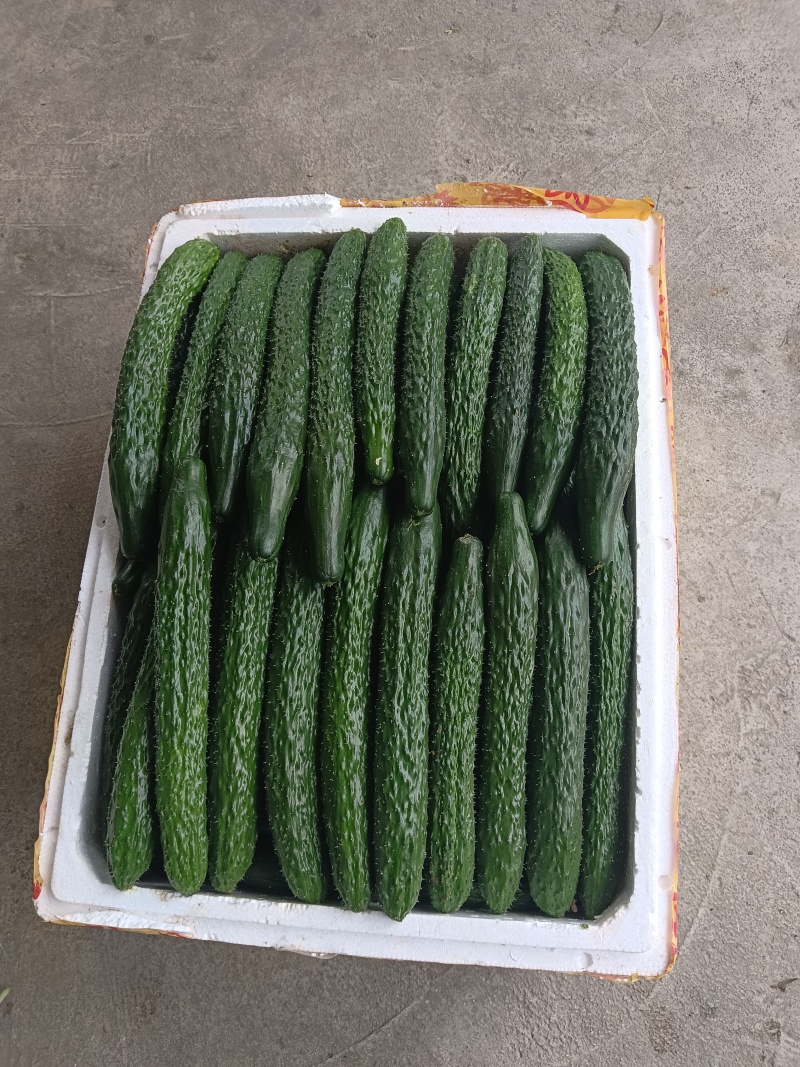 各类精品蔬菜下个月上市