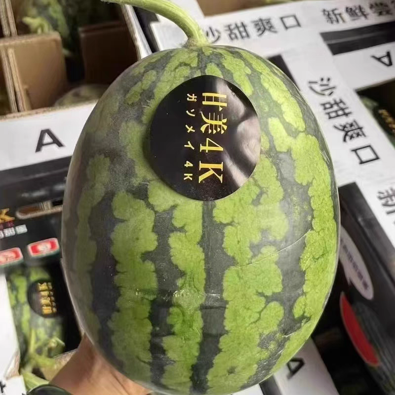 陕西《甘美4K西瓜》基地直发保质保量现摘现发一条龙服务