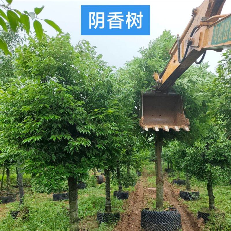 加我联系