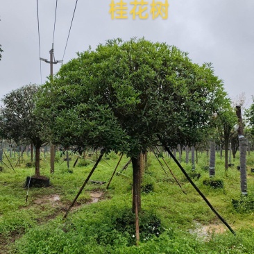 加我联系