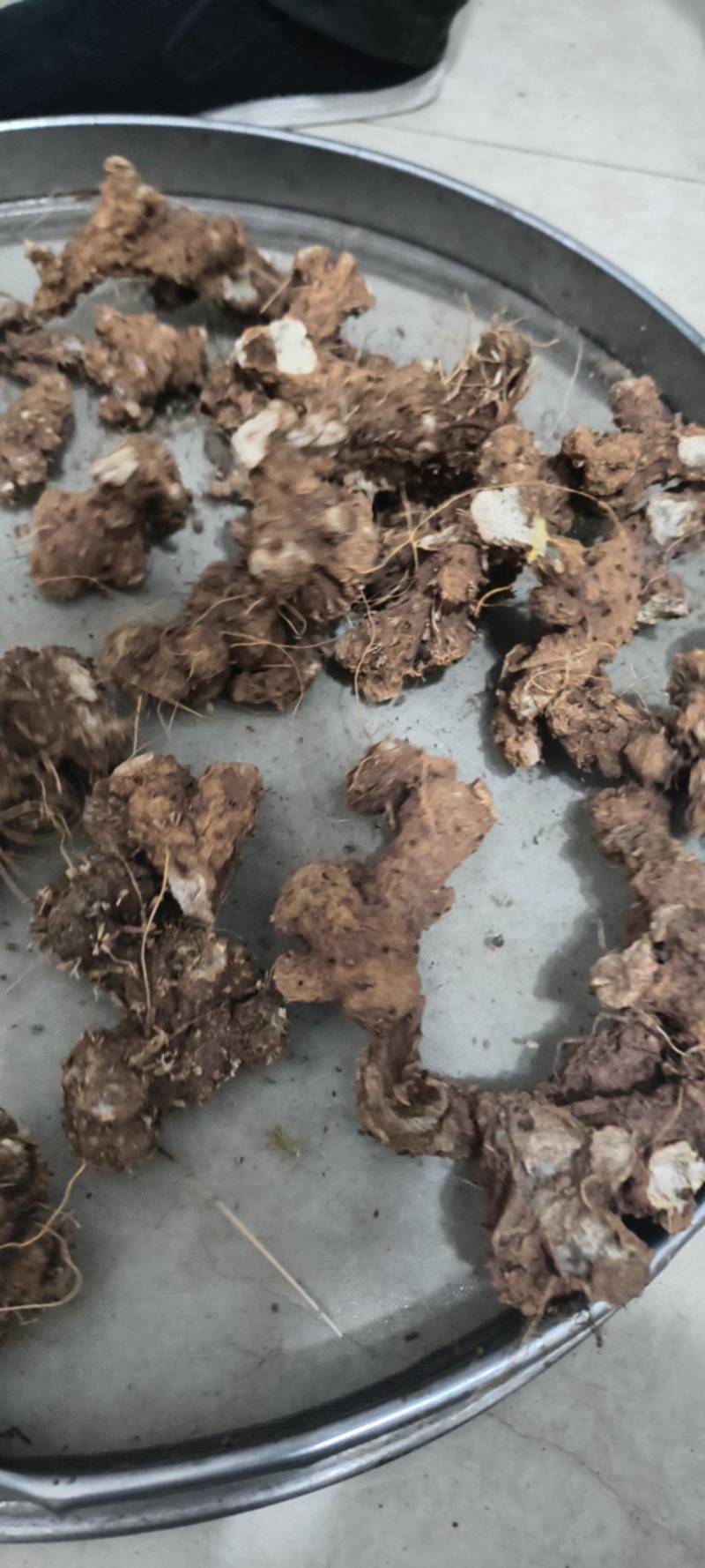 大量出售（粉荤薢）干货