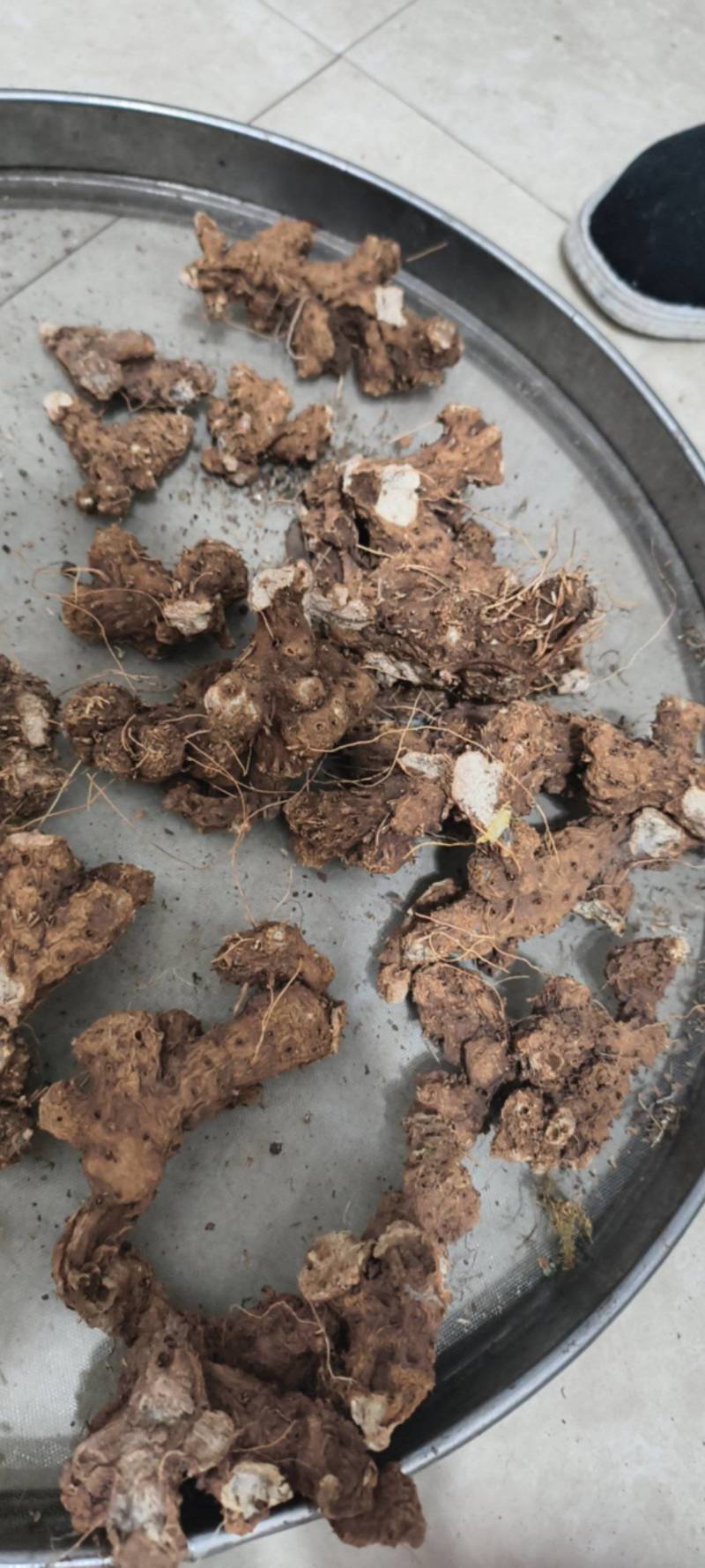 大量出售（粉荤薢）干货
