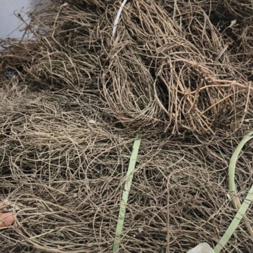 大量出售干货（海风藤）