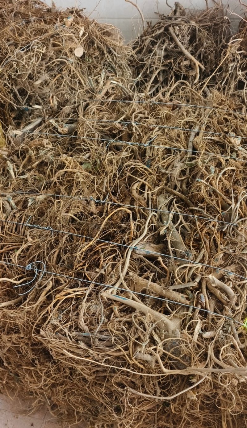 广西野生白花牛奶根牛奶根煲汤材料量大包邮