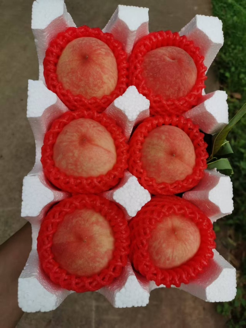 龙泉水蜜桃产地直发