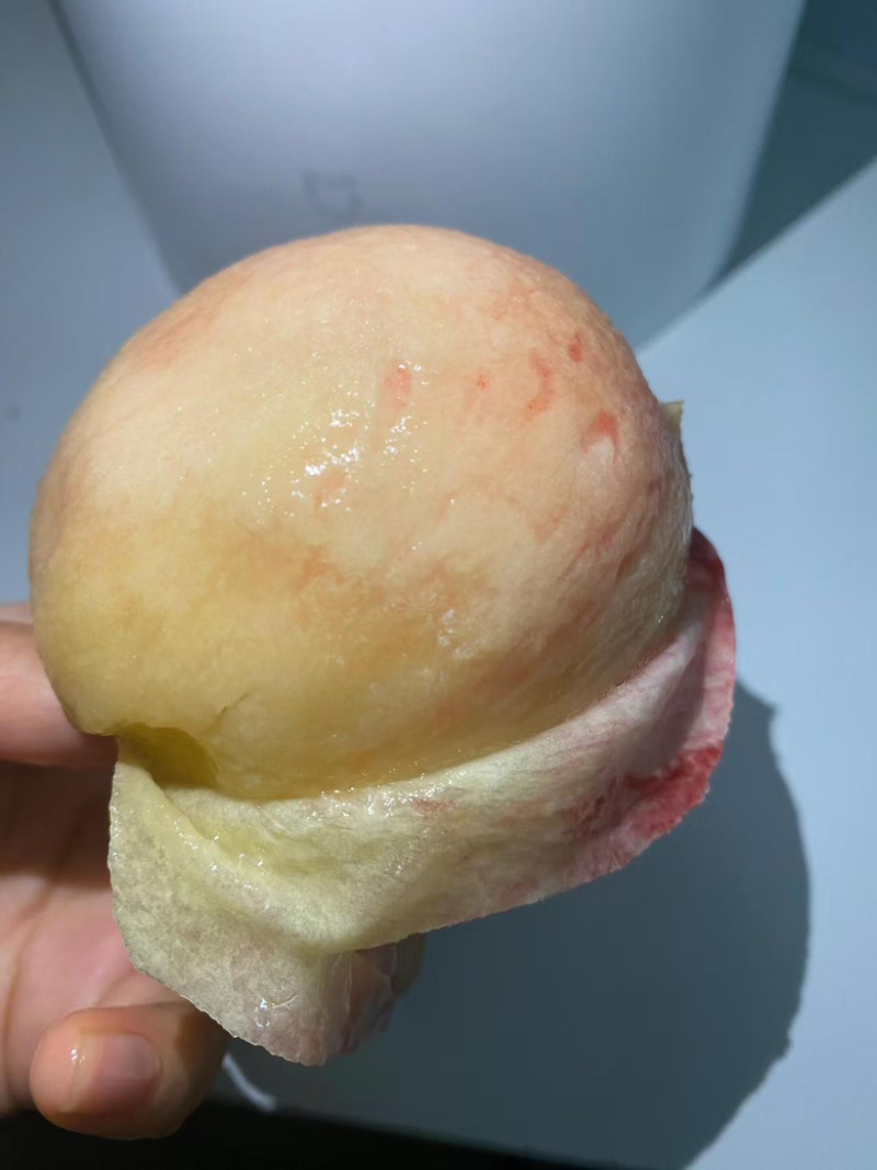 龙泉水蜜桃产地直发