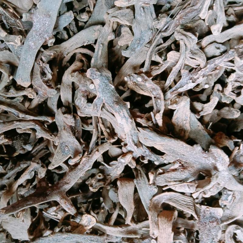 中药材，骨碎补