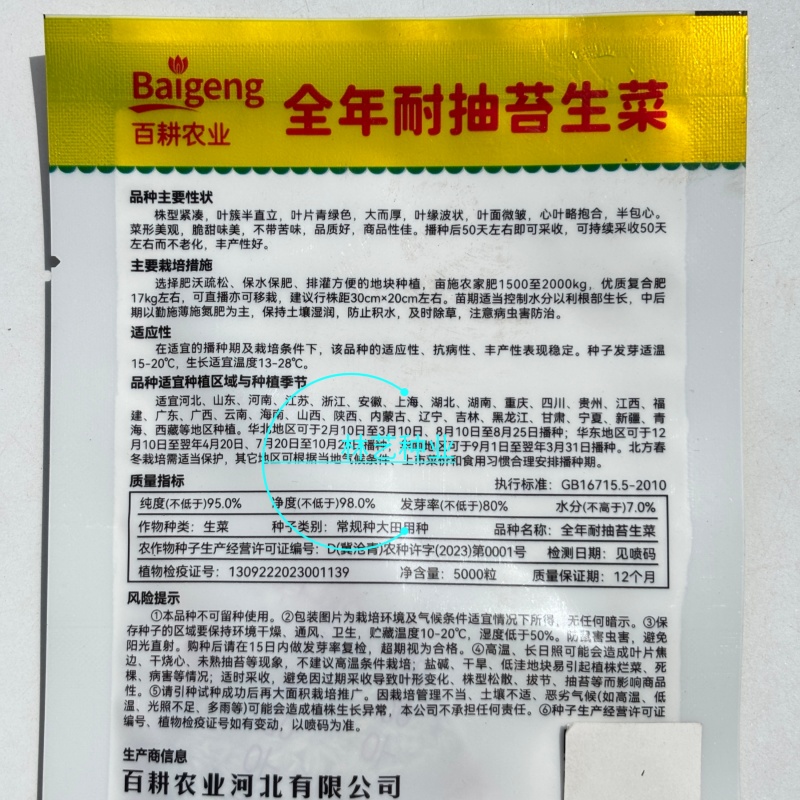 全年耐抽苔生菜种子菜型美观爽脆味美品质好农家四季播种蔬菜