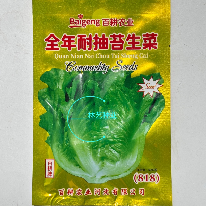 全年耐抽苔生菜种子菜型美观爽脆味美品质好农家四季播种蔬菜